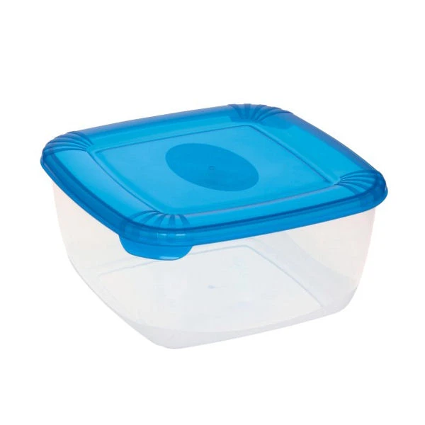 SK-POJEMNIK DO ZAMRAŻANIA *POLAR* 2,5L KWADRAT 1677