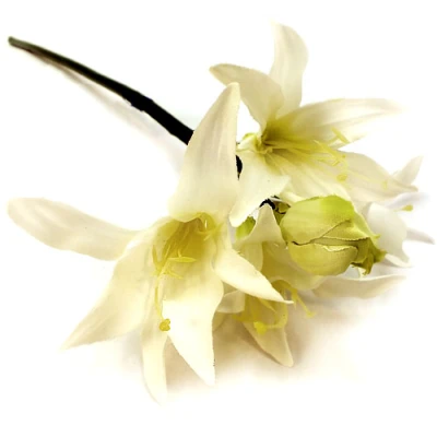 WAR-NERINE 50CM RM0916