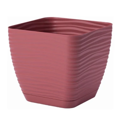 DONICZKA SAHARA KWADRAT PETIT Z/P *11* MARSALA