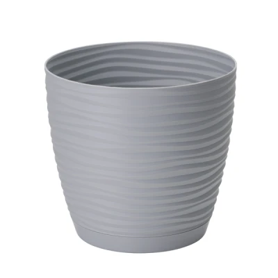 DONICZKA SAHARA PETIT Z/P *13* PLATYNA