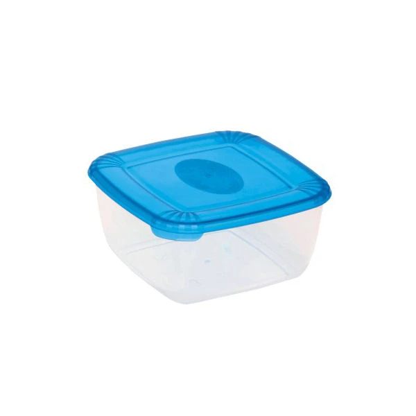 SK-POJEMNIK DO ZAMRAŻANIA *POLAR* 0,95L KWADRAT /1675/