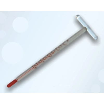 TERMOMETR DO WINA *TWIN*