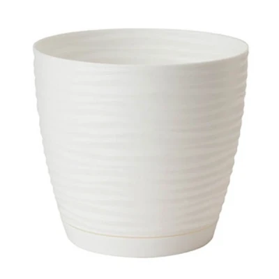 DONICZKA SAHARA PETIT Z/P *17* BIAŁA