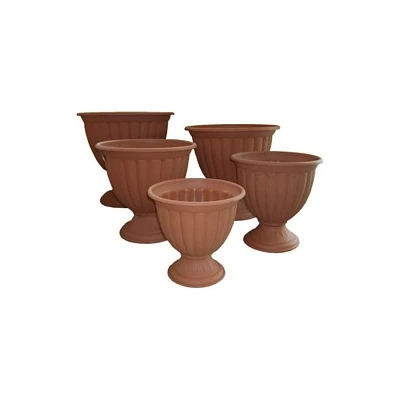 GAZON TULIPAN *5*- WYSOKI 21CM