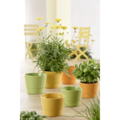 OSŁ.PRYMULA 501 14CM *ZÓŁTA*