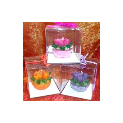 CAND-ŚWIECA DON.TULIPAN MAŁY