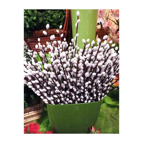 A123-BAZIA DUŻA BEZ LISTKÓW /24/