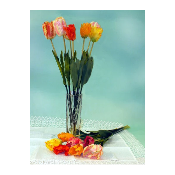 ADAM-TULIPAN A0623 / A1943