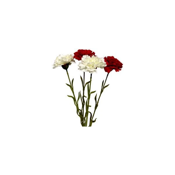 AD-GOáDZIK GT0203915