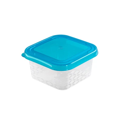 POJEMNIK PLASTIKOWY NA ŻYWNOŚĆ LUNCH OBIAD 0,25L Z POKRYWKĄ LUNCHBOX