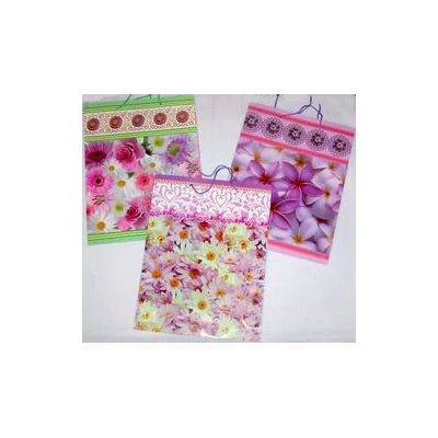 GAJO-TORBA PAPIER.*6030* 0266