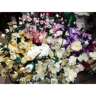 L652-KWIAT BRZOSKWINI /12/