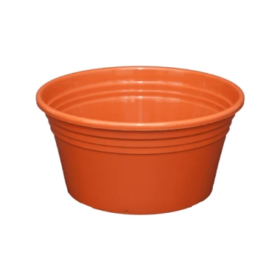 MISKA *IRYS* PŁASKA       25CM