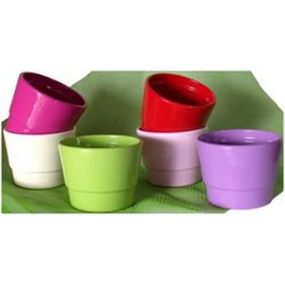 OSŁ.PRYMULA 501 12CM *FIOLET*