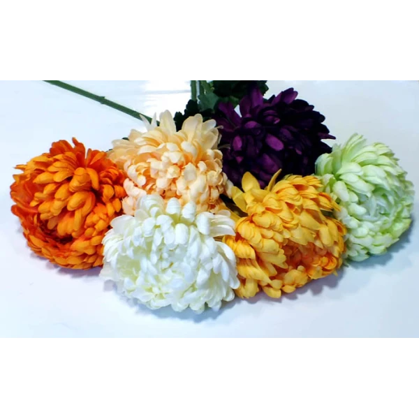 ADAM-CHRYZANTEMA AGT056