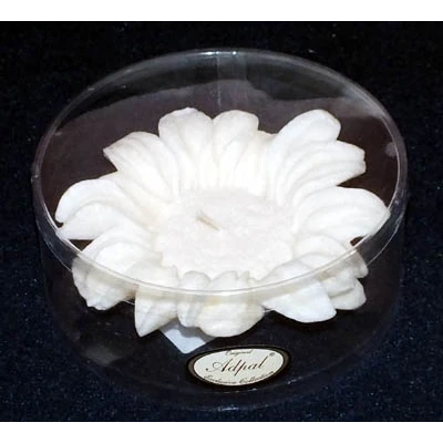 ADPAL-ŚWIECA SŁONECZNIK DUŻY (TUBUS) ECRU