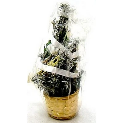 CER-CHOINKA MAŁA CS05404