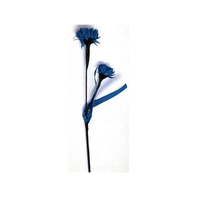 EUR-KW/ALIUM/6/NIEBIESKIE