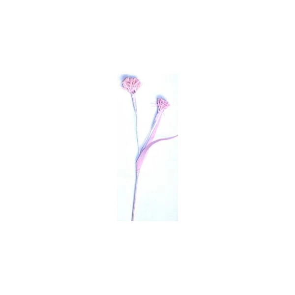 EUR-KW/ALIUM/6/RÓŻ