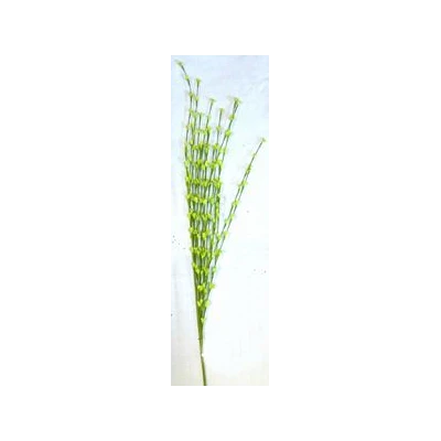 EUR-KW/GAŁŃZKA/7/LIM