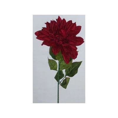 EUR-KWIAT DALIA/B/BORDO JESIEŃ