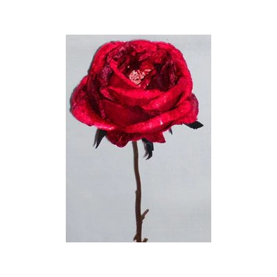 EUR-KWIAT RÓŻA/1/CZERWONA