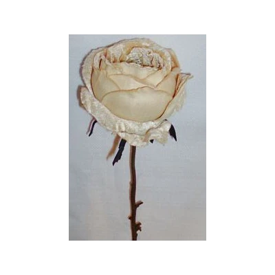 EUR-KWIAT RÓŻA/1/K