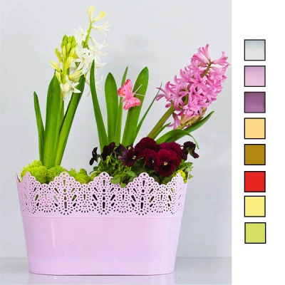 KW-DONICZKA *KORONKA* OWAL