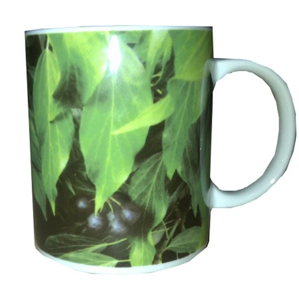 LUBIANA-KUBEK 30 ARONIA 5177