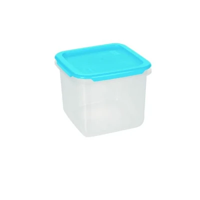 OKT-POJ.*STANDARD/FRIGO BOX KWADRAT 2,5L W4541