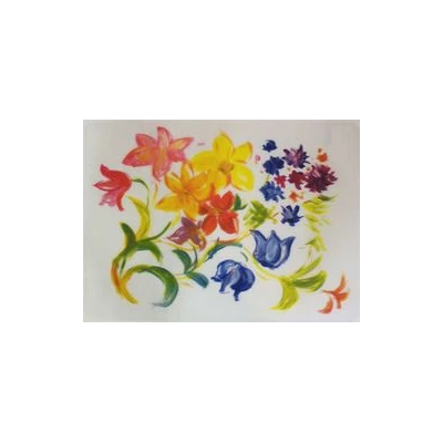 BB-MATA PRZEZROCZYSTA /12SZT/