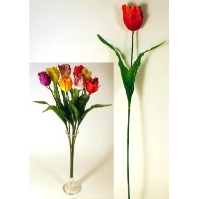 L636-TULIPAN SATYNOWY /1/