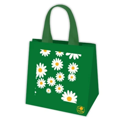 GAM-TORBA SONICZNA *STOKROTKI*34X36X20 ZIELONA