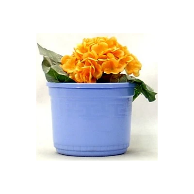 SKOLACH-DONICZKA Z PODST.19CM