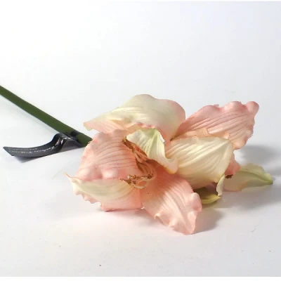 WAR-AMARYLLIS 46CM RÓŻ RM0886