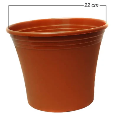 DONICZKA  IRYS  22CM *6*