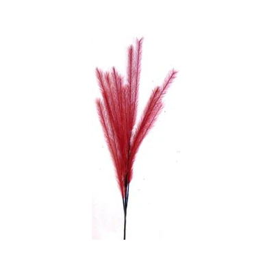 EUR-KW/TRAWA/11/CZERWONA