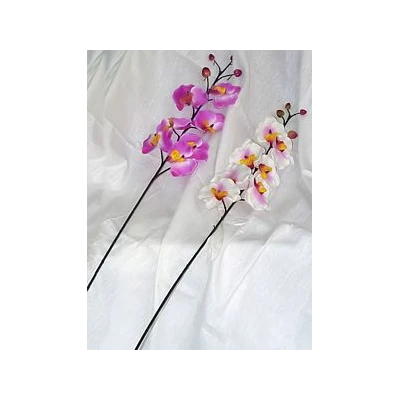 TOM-KWIAT STORCZ.V-141