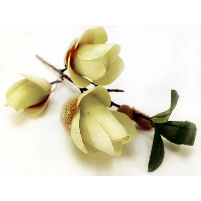 WAR-MAGNOLIA 42CM GREEN 85372