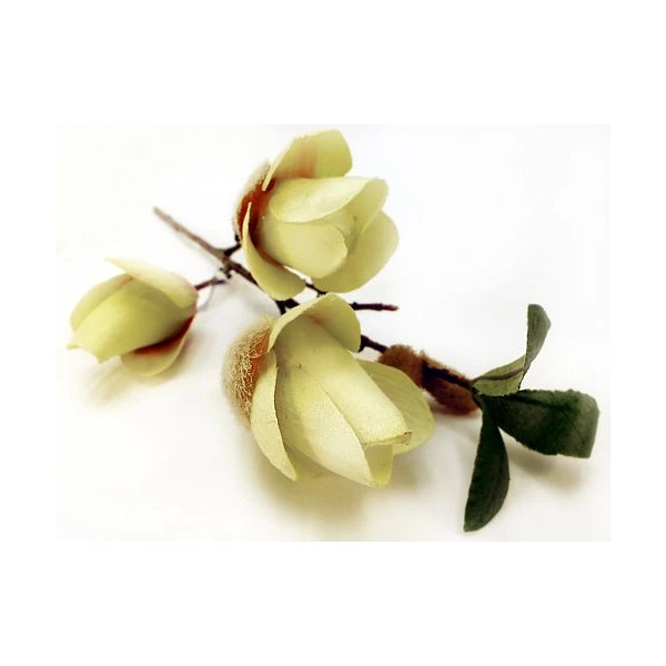 WAR-MAGNOLIA 42CM GREEN 85372