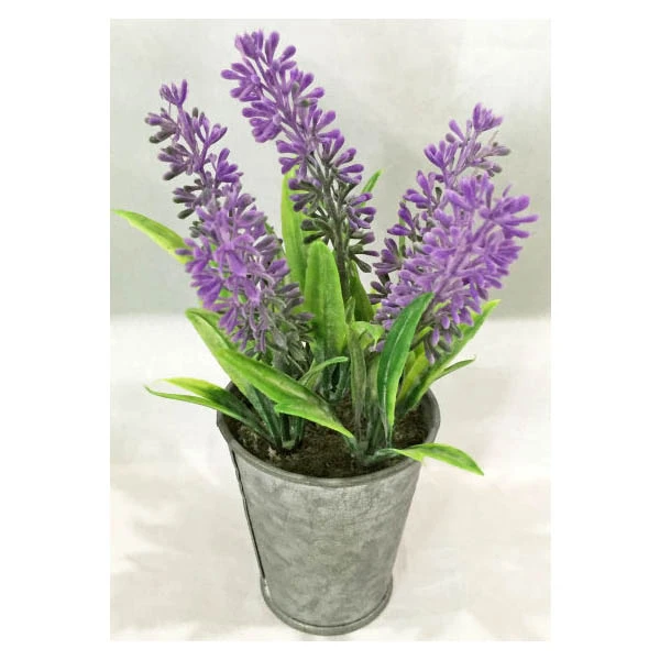 TOM-ROŚLINA W DONICZCE 17CM RD09