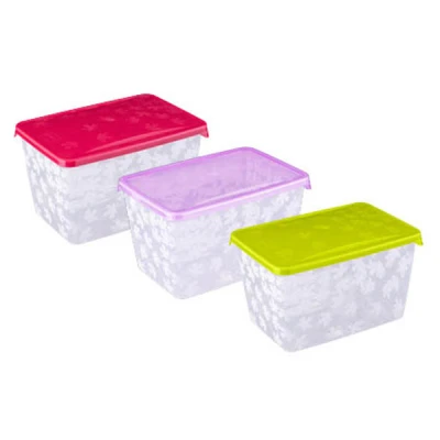 POJEMNIK PLASTIKOWY NA ŻYWNOŚĆ LUNCH OBIAD 2,5L Z POKRYWKĄ LUNCHBOX