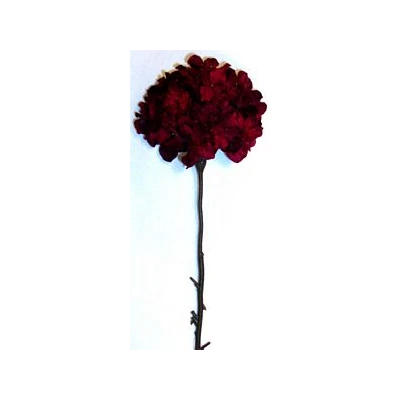 EUR-KW/HORTENSJA/1/BORDO