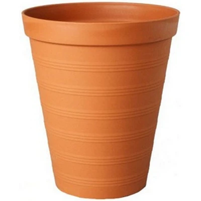 PALMÓWKA TERAKOTA - 4     19CM