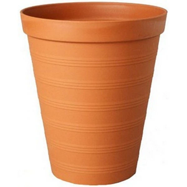 PALMÓWKA TERAKOTA - 4     19CM