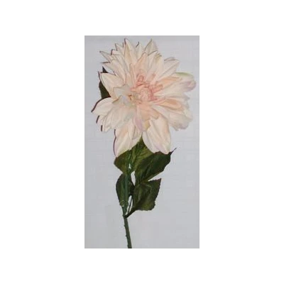 EUR-KWIAT DALIA/B/BEŻ JESIEŃ