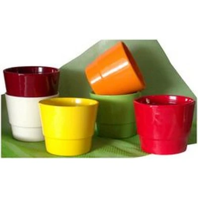 OSŁ.PRYMULA 501 16CM *ZIELONA*