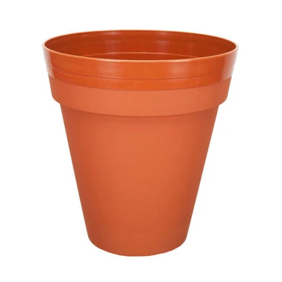 PALMÓWKA IRYS *3* 24CM