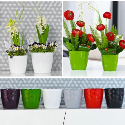 KW-DONICZKA *CRISTAL* 20