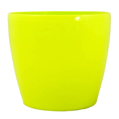 DONICZKA *MAGNOLIA* 21CM LIMONKA